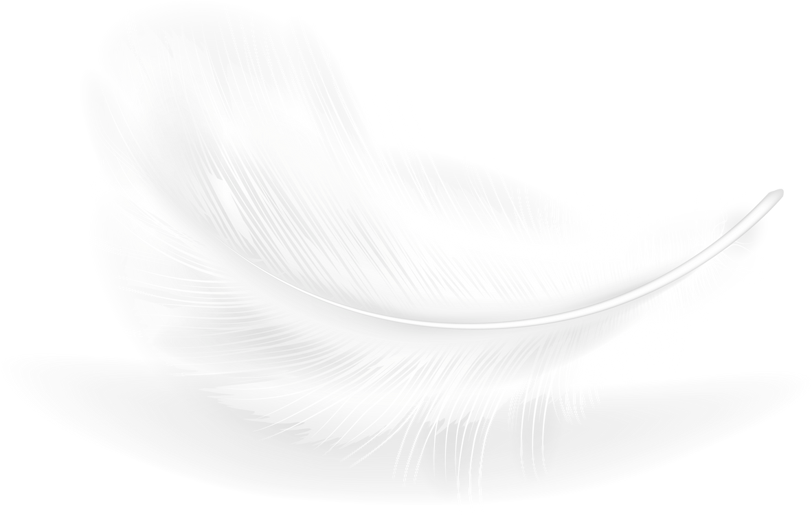 Feather realistic