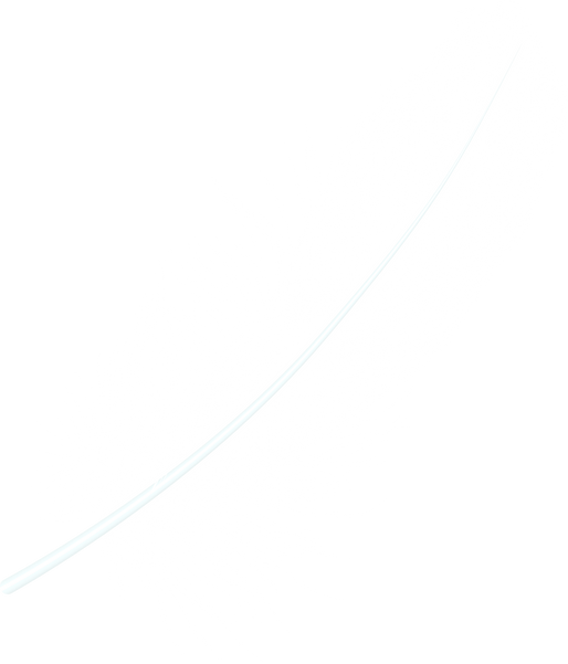 White Feather Illustration